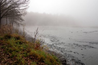Kurumuş gölet, gölün üzerindeki sisler, kurumuş göletin yanındaki sonbahar manzarası.