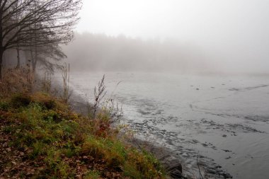 Kurumuş gölet, gölün üzerindeki sisler, kurumuş göletin yanındaki sonbahar manzarası.