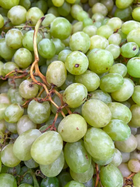 green grape wine, grape wine, grape wine background, green grape wine from market