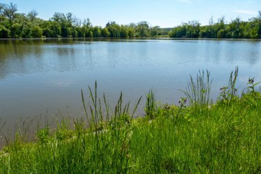Gölün etrafındaki güneş ışığı manzarası, gölün etrafındaki bitkiler ve ağaçlar