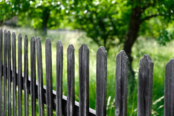 old wooden fence, wooden fence, fence planks, grove of trees behind the fence