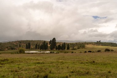 Kolombiya 'nın yeşil vadisi etrafındaki ağaçlarla dolu doğal bir göl bulutlu.
