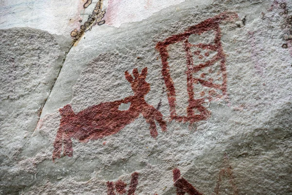 Rock painting in Cerro Azul in Amazon of Colombia, animal painting