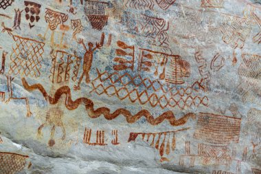 Kolombiya Amazon 'unda Nuevo Tolima' da kaya resmi, resim avcılığı.