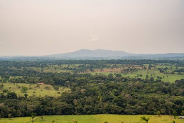 Nuevo Tolima manzaralı Kolombiya Amazon ormanlarının manzarası