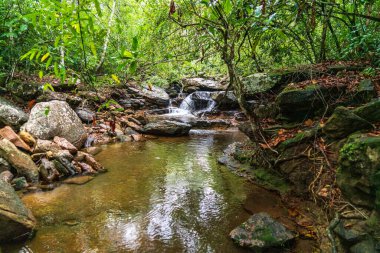 Tranquilandia 'da nehir ve küçük düşüş, Kolombiya amazonu