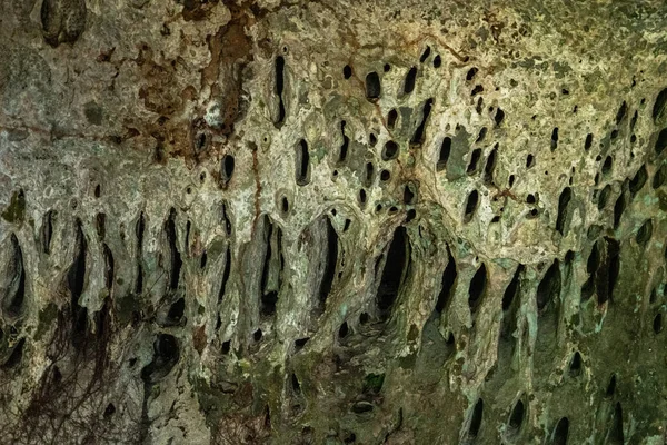 stock image Rocky area of natural caves in the Colombian Amazon