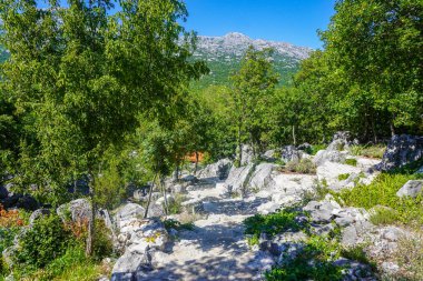 Hırvatistan 'ın Split kentinde Peyzaj ve Manzara Görüntüleri