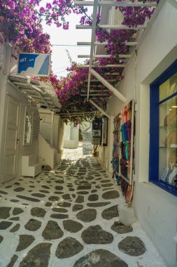 Yunanistan 'da Mykonos' un Manzarası ve Manzarası