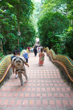 Wat Prathat Doi Suthep, Tayland 'daki altın tapınağa giden merdivenler.