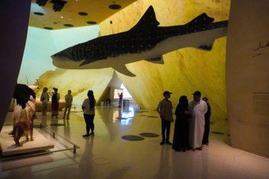 Katar Ulusal Müzesi 'ndeki büyük köpekbalığı In Doha, Katar
