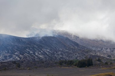 Bromo Dağı, Java, Endonezya 'daki volkanik manzara