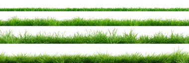 Yeşil çimen kenarlarının toplanması, yatay olarak pürüzsüz, beyaz arka planda izole. 3 Boyutlu Hazırlama.