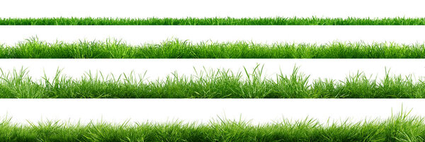 Collection of green grass borders, seamless horizontally, isolated on white background. 3D render.