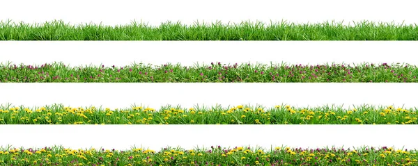 Різні Межі Зеленої Трави Кульбаби Конюшини Ізольовані Білому Тлі Візуалізація — стокове фото