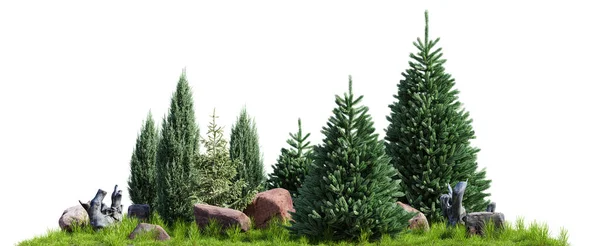 Bahçe Ağaçları Kayalar Kütükler Beyaz Arka Planda Izole Edilmiş Boyutlu — Stok fotoğraf