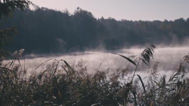 Sabah sisi sakin gölün üzerinde yüzüyor. Su yüzeyinde rüya gibi bir sis.
