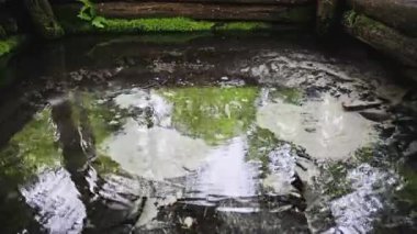Yeraltından temiz kaynak suyu fışkırıyor. Temiz su ile orman pınarı kumda su kabarcıkları oluşturur.. 