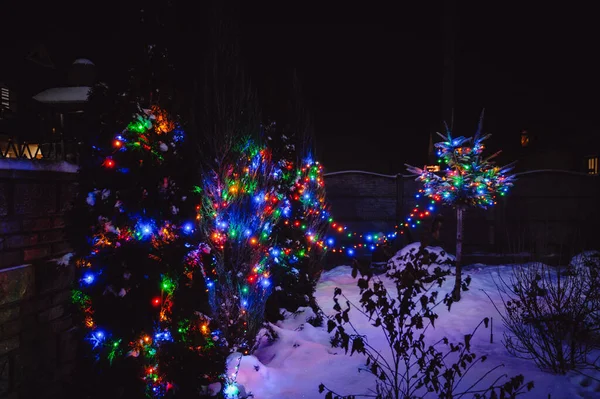 Ветвь Сосны Покрыта Снегом Украшена Желтыми Голубыми Рождественскими Огнями Крупным — стоковое фото
