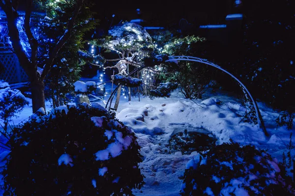 Lago Jardim Congelado Com Plantas Cobertas Neve Inverno Jardim Inverno — Fotografia de Stock