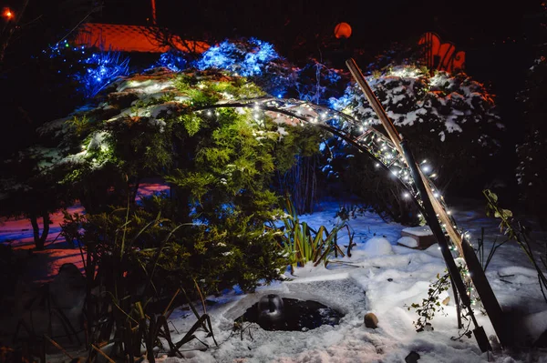 Gefrorener Gartenteich Mit Schneebedeckten Pflanzen Winter Der Wintergarten Ist Mit — Stockfoto
