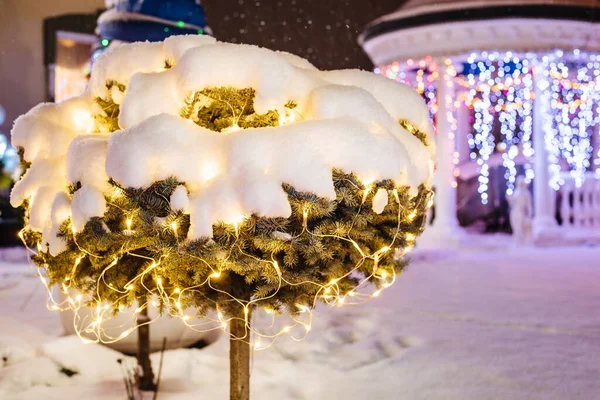 Weihnachtsdekoration Hinterhof Draußen Leuchtet Der Wintergarten Weihnachten — Stockfoto