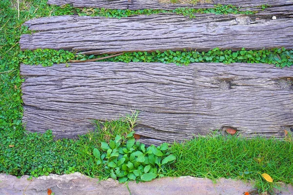 Wooden Walkway Garden Green Grass Leaves Background Old Wooden Walkway — Stock Photo, Image