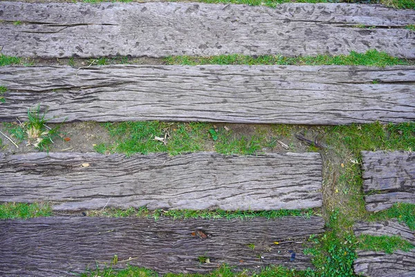 Drewniany Chodnik Ogrodzie Zieloną Trawą Liści Tła Stary Drewniany Chodnik — Zdjęcie stockowe