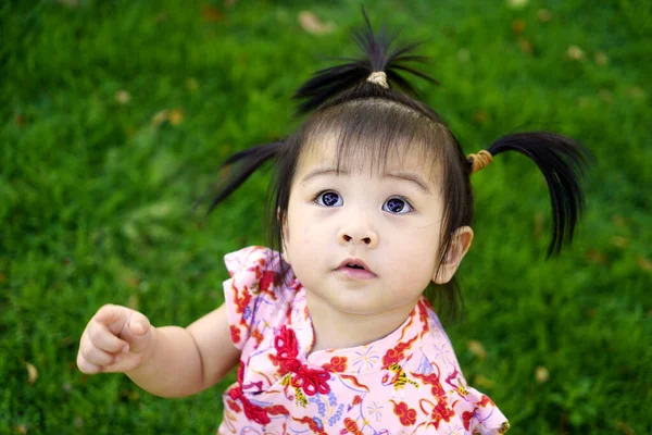 Porträt Eines Süßen Kleinen Mädchens Auf Grünem Gras Park Nahaufnahme — Stockfoto