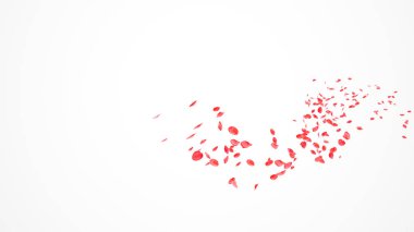 Kırmızı gül yaprakları beyaz arka planda havada uçuşuyor. Kırmızı Gül Yaprakları Beyaz zemin üzerinde yalıtılmış rüzgarda akıyor. Soyut Kırmızı Yapraklar beyaz arkaplanda eğri yolda çiçek darbesi yapar. 3d hazırlayıcı