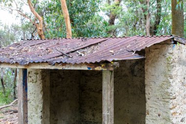 Avustralya 'nın Yeni Güney Galler' indeki Mavi Dağlar 'daki bir kaşifin kulübesinde düşmüş yapraklarla kaplı eski kahverengi paslı bir çatının fotoğrafı.