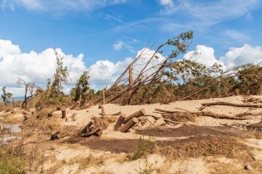 Photograph of flood damaged trees in Yarramundi Reserve on the Nepean River in the Hawkesbury region of New South Wales in Australia.