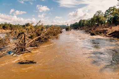 Avustralya 'nın Yeni Güney Galler bölgesindeki Nepean Nehri' nde şiddetli sel ve ağaç hasarı.