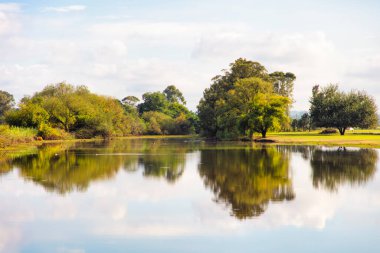 Avustralya 'nın Yeni Güney Galler bölgesindeki Yarramundi Gölüne yansıyan ağaç ve bulutların fotoğrafı.