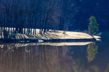 Avustralya 'daki Yeni Güney Galler' de sel baskını sırasında Hawkesbury Nehri 'ne yansıyan ağaçların fotoğrafları.
