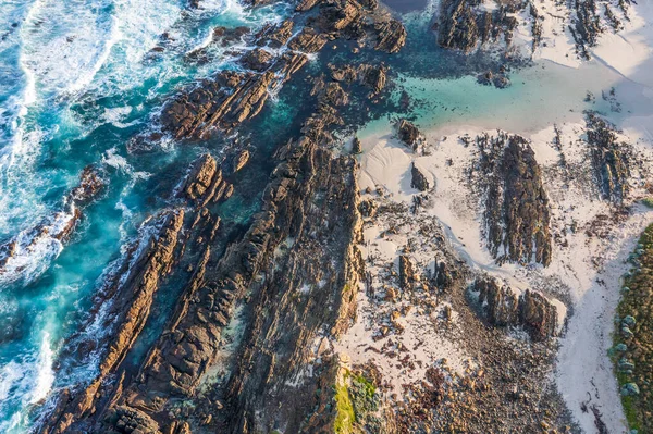 태즈메이니아 아일랜드에 위치한 마우리 리스만의 울퉁불퉁 바위투성이 해안선의 — 스톡 사진