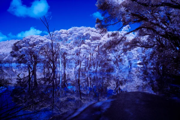 Infrared Photograph Flooding River Road Blundells Creek Hawkesbury River Lower — Stockfoto