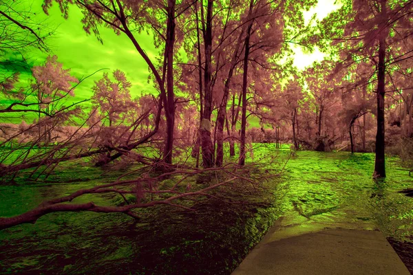 Infrared Photograph Flooding Nepean River Great River Walk Weir Reserve — Stockfoto