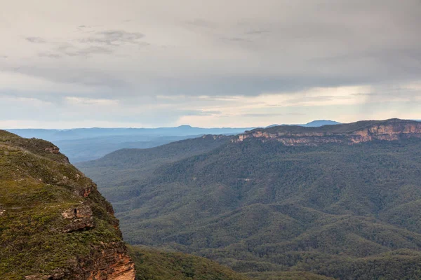 stock image Photograph of gum trees and forest from Kings Tableland in the Jamison Valley in the Blue Mountains National Park in New South Wales in Australia