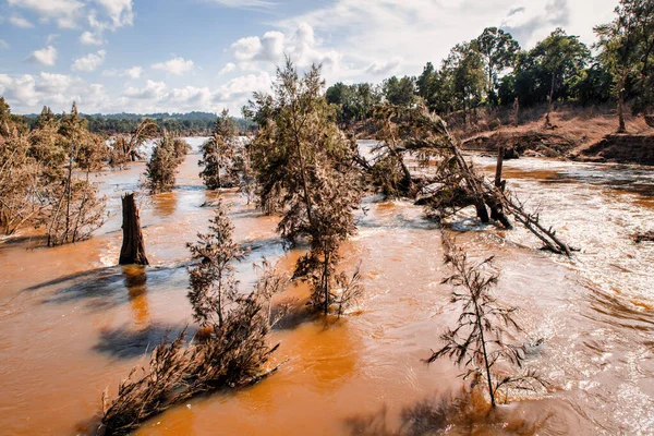 Avustralya 'nın Yeni Güney Galler bölgesindeki Nepean Nehri' nde şiddetli sel ve ağaç hasarı.