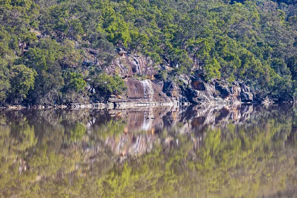 Fénykép Hawkesbury Folyóban Tükröződő Fákról Ausztráliai Dél Walesben Történt Áradások — Stock Fotó