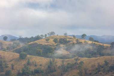 Avustralya 'nın Yeni Güney Galler' indeki Mavi Dağlar 'daki bir tarım vadisinde alçak asılı beyaz bulutların fotoğrafı.