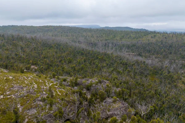 Беспилотный Снимок Деревьев Большой Долине Восстанавливающейся Сильного Лесного Пожара Голубых — стоковое фото