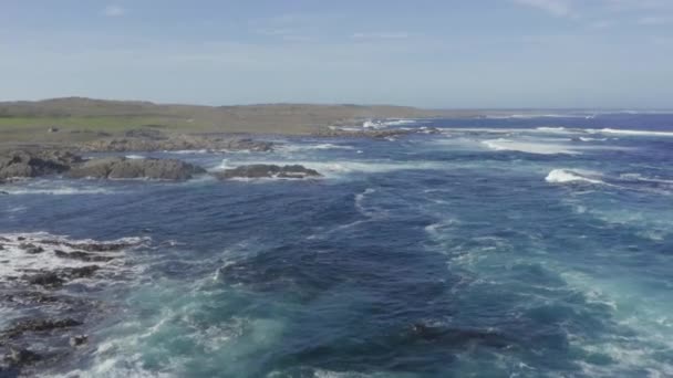 Дронові Аерофотознімки Міцного Скелястого Узбережжя Мисі Стоукс Бассовій Протоці Острові — стокове відео