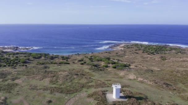 Avustralya Nın Tazmanya Kentindeki King Island Daki Surprise Bay Deki — Stok video