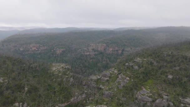 オーストラリアのニューサウスウェールズ州のブルーマウンテンでの森林火災後の大規模な谷での森林の成長のドローン空撮 — ストック動画