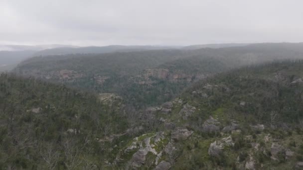 Drone Images Aériennes Repousse Une Forêt Dans Une Grande Vallée — Video