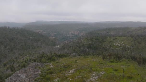 Drone Images Aériennes Repousse Une Forêt Dans Une Grande Vallée — Video