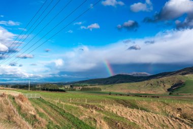 İneklerin ve koyunların otladığı yeşil bir tarla üzerinde büyük bir gökkuşağının ve Yeni Zelanda 'nın Güney Adası' nın arka planında bir dağ sırasının fotoğrafı.