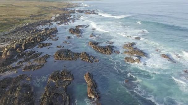 Drone Aerial Footage Rugged Rocky Coastline Fitzmaurice Bay King Island — Stock Video